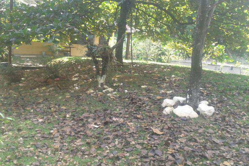 Imagem 21 de 28 de Casa Em Santana De Parnaíba Bairro Jardim Parnaíba - V233000