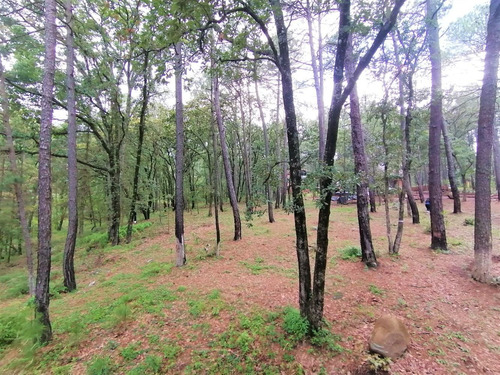 Imagen 11 de 12 de Terreno Huasca De Ocampo 2500 M2 Junto A Cabañas Pinochueco