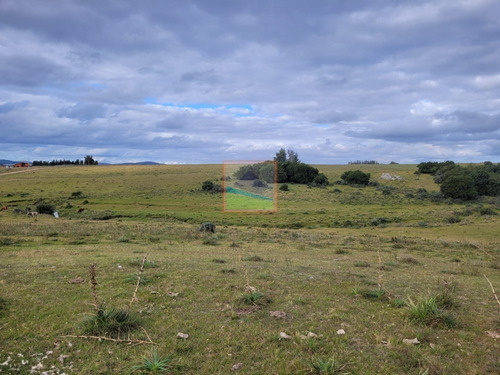 Imagen 2 de 25 de 20has De Campo Sobre Ruta 12 Pueblo Edén