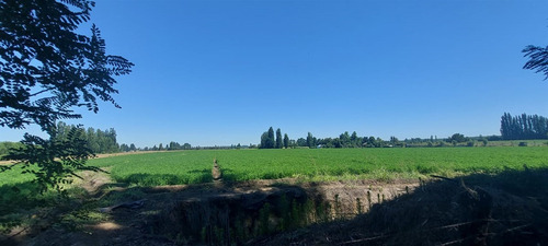 18 Hec Oportunidad Se Vende Terreno Agrícola Retiro Talca