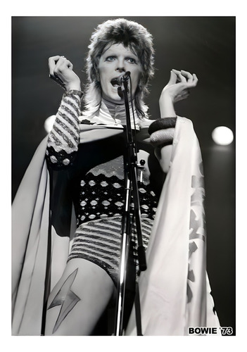Póster David Bowie Autoadhesivo 100x70cm #718