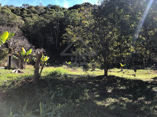 Imagem 5 de 11 de Terreno - Te00012 - 69899489