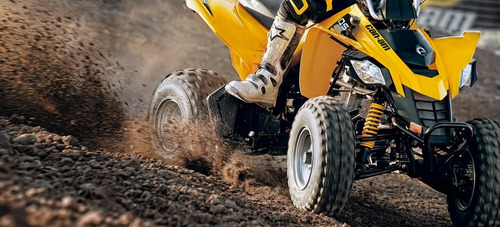 Can Am Ds 250 0km Automoto Lanus