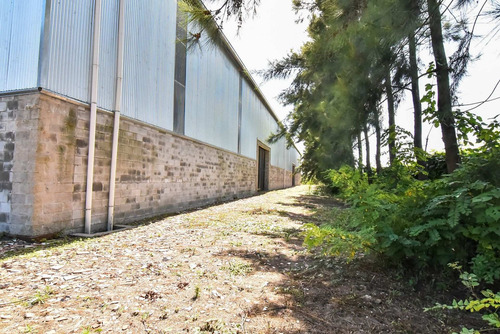 Alquiler O Venta Galpon 3000m2 Cañuelas A Estrenar