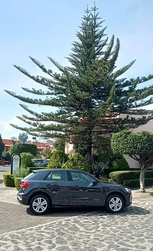 Audi Q2 1.4 35 Tfsi Select