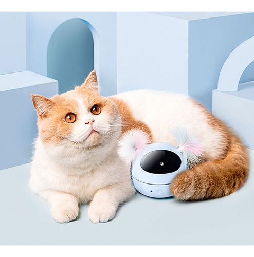Puntero Láser, Juguete Láser Con Luz Led Para Gatos, Con Inf
