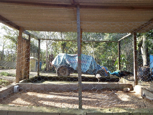 Imagem 8 de 12 de Chácara À Venda Em Juquitiba Com Piscina Ideal Para Moradia