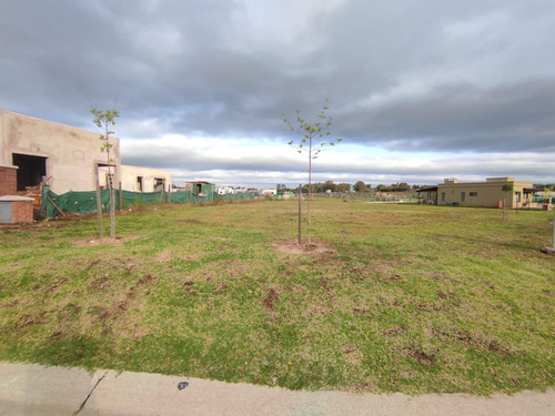 Imagen 5 de 6 de Terreno Lote En Venta Ubicado En Santa Lucia, Pilar Del Este, G.b.a. Zona Norte