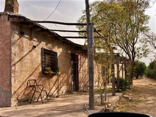 Imagen 13 de 19 de Greenwood Vende Hermosa Finca Con Viñedos, Casa, Galpon Y Pozo Para Riego