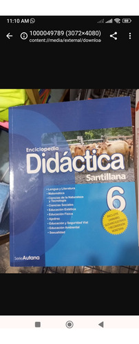 Enciclopedia Didáctica De 6to Grado. Editorial Santillana 