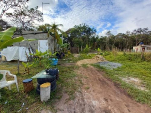 Imagem 20 de 20 de Mini Chácara Com Bom Espaço Para Plantio E Varanda Coberta, No Bairro Sítio Velho, Em Itanhaém, Analisa Carro Como Parte De Pagamento, Analisa Proposta À Vista, Aceita Entrada E Parcelas Ref: 9089/ac