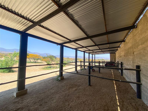 Imagen 23 de 29 de Sitio En 3 Has En Venta - Catapílco, Zapallar