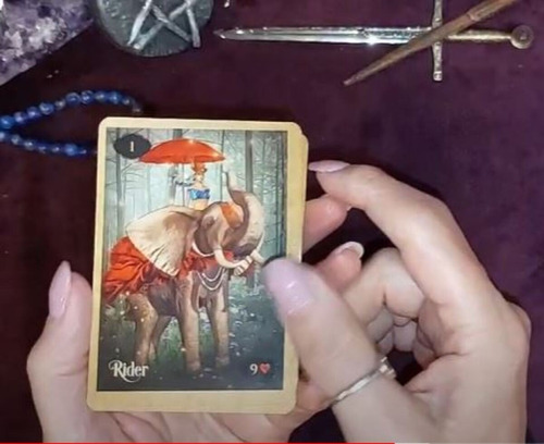Lenormand Of Enchantment Stock Ya, Red Feather, Yasmeen W.