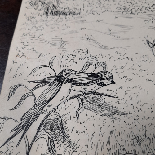 Imagem 5 de 6 de Desenho Nanquim Bico De Pena Datado 1953 Antigo Sem Moldura