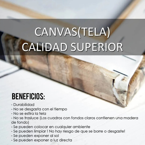 Imagen 6 de 9 de Políptico Moderno Planisferio 100x50 Cuadro Personalizable
