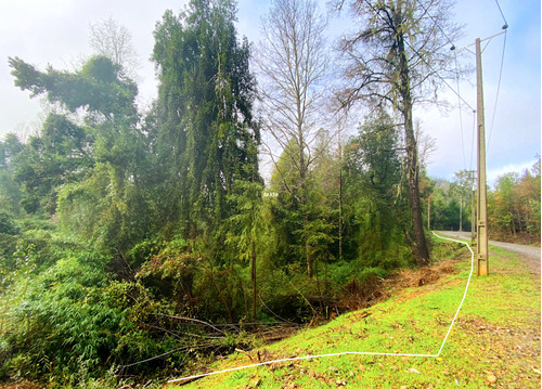 Parcela En Venta En Valdivia