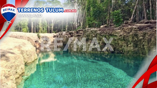Cenote Con 17.5 Hectareas Con Frente De Carretera