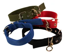 Comprar Collares De Perros Ajustable Varios Colores