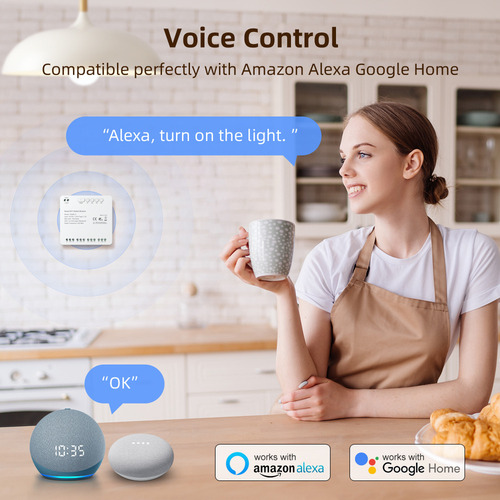 Interruptor Remoto De Relé Wifi Con Módulo Tuya Alexa Compat