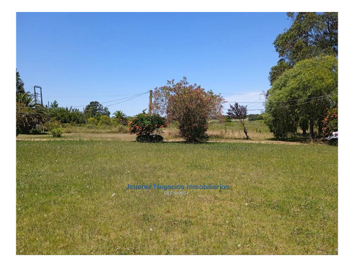 Imagen 16 de 22 de Js: Venta Excelente Chacra Abayuba Cw189854
