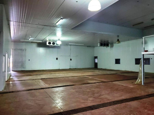 Nave Industrial - Zarate
