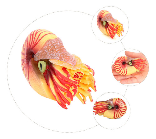 Adorno Simulado Con Forma De Nautilus, Modelo De Animal Mari