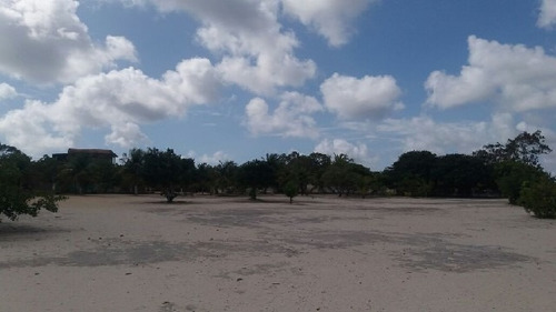 Imagem 3 de 10 de Chácara Com 4 Dormitórios À Venda, 12000 M² Por R$ 800.000,00 - Lagoa Do Bonfim - Nísia Floresta/rn - Ch0007