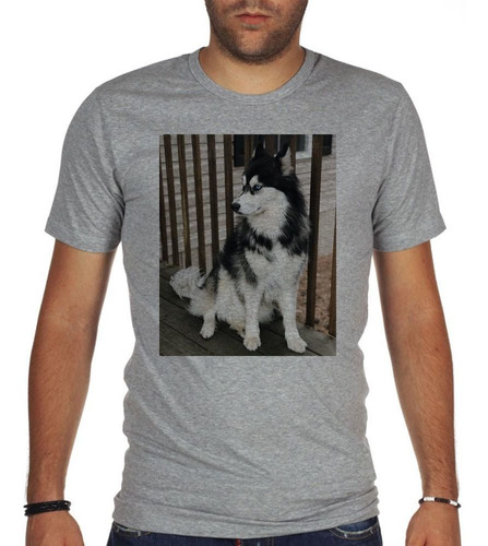 Remera De Hombre Husky Siberiano Posando