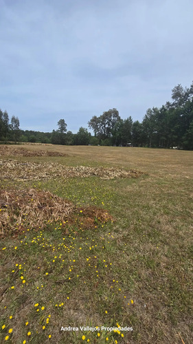 Parcela Plana, Soñada! Sector Tres Esquinas Lautaro