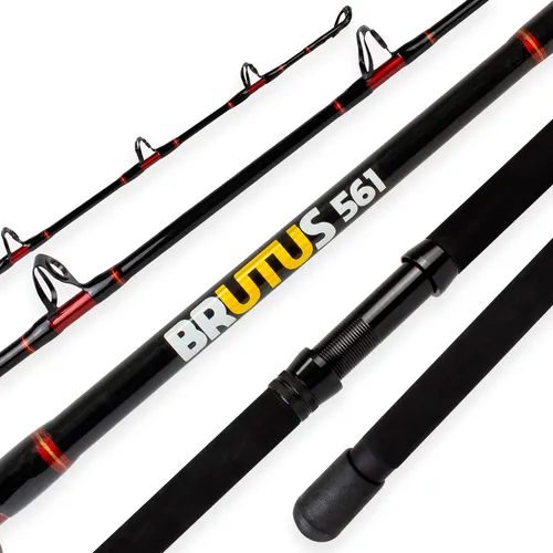 Vara Albatroz Brutus 80-100lbs 5'6 (1,68m) 561 -1p Molinete