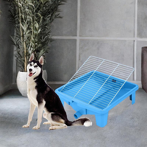 Inodoro Para Mascotas, Arenero Para Mascotas, Orinal, Azul