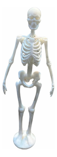 Esqueleto Humano 15cm 