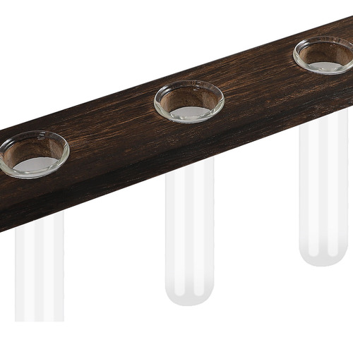 Jarrón De Cristal De Pared Para Plantas Hidropónicas, 75 Cm
