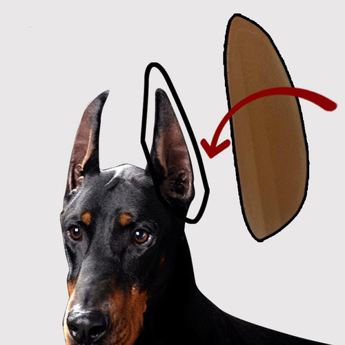 2 Pegatinas Para Soporte De Orejas De Perro, Dóberman.
