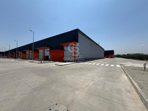 4 Bodegas Planta Libre Alta Seguridad