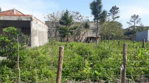 Ótimo Terreno No Jardim Palmeiras Itanhaém/sp | 4768 Fr
