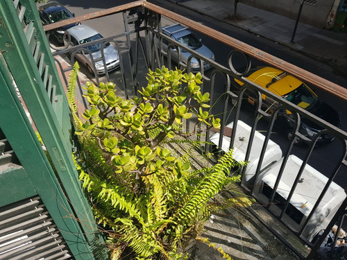Charcas Al 3900, Palermo Botánico Casa 4 Plantas 5 Ambien 3/5 Dormitori 2 Baños. 2 Balcones. Terraza Espacio Aéreo Propio. Subsuelo Con 2 Habitac Y Baño. 210 M2 Living Y Comedor Separados Y Escritorio