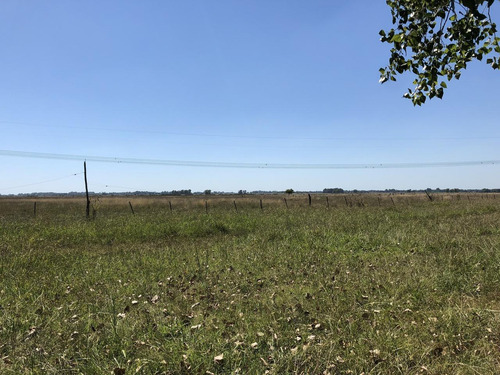 Imagen 10 de 12 de Campo En Venta En La Plata Ruta 215 Dacal Bienes Raices