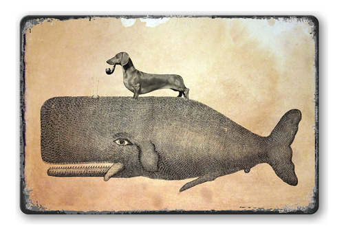 Letrero De Metal Vintage De Wiener Dog Riding Whale, Regalos