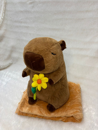 Peluche Capibara Carpincho Con Manta Varios Modelos 40cm Capibara Con Flor Amarilla
