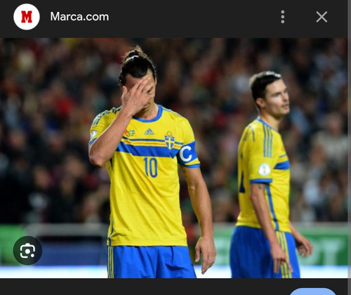 Camiseta Seleccion Suecia Año 2013 (Usado)