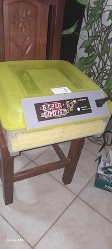 2955488324