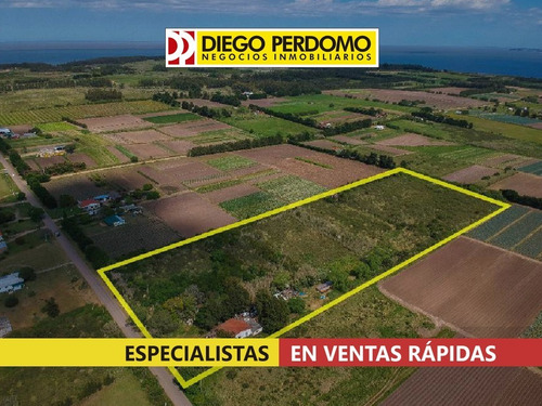 Chacra De 3 Has En Venta, Montevideo.
