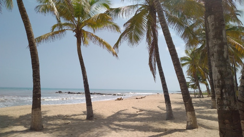 Imagen 4 de 12 de En Venta Casa Playera Conjunto Privado-istmo Caribe