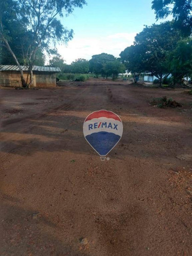 Imagem 2 de 8 de Área Para Alugar, 8000 M² Por R$ 5.000,00/mês - Boa Esperança - Paulínia/sp - Ar0034
