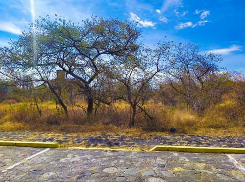 501.vd.92elchaparral Terreno En Venta En Puebla En Tepexco Fraccionamiento El Chaparral Cuenta Con Todos Los Servicios De Agua, Luz, Calles Empedradas, Guarniciones, Vigilancia Las 24 Horas, Entrada