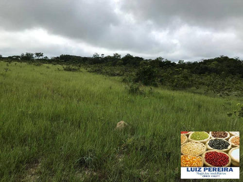 Imagem 15 de 15 de Fazenda À Venda Em Recursolândia - Ms - De 1.041 Alqueirões - 1648