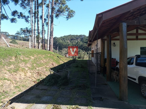 Imagem 4 de 15 de Sítio Em Bairro Do Cabral - Sapucaí-mirim - 339