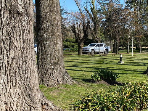 Hermosa Chacra De 6,2 Hectareas A La Venta En Mercedes (b)