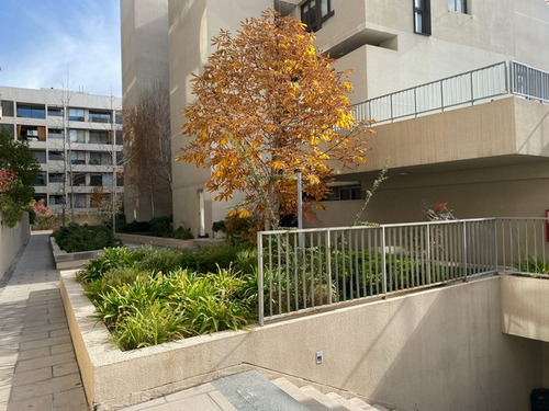 Oportunidad Depto Triplex (terraza Piso 3)